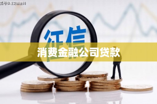 工业园区消费金融公司贷款