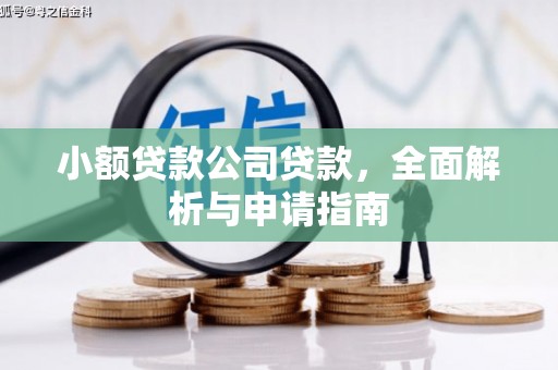 工业园区小额贷款公司贷款，全面解析与申请指南