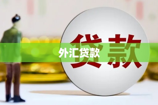 工业园区外汇贷款