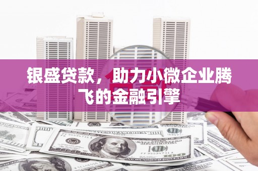 工业园区银盛贷款，助力小微企业腾飞的金融引擎
