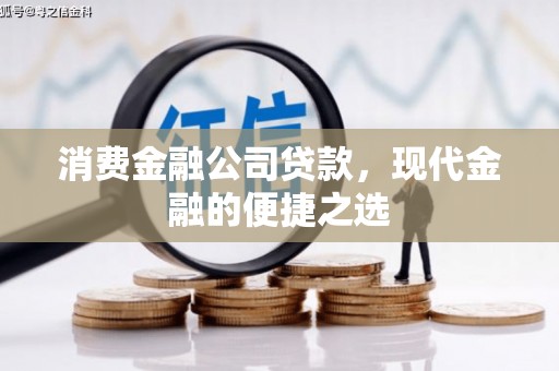 工业园区消费金融公司贷款，现代金融的便捷之选