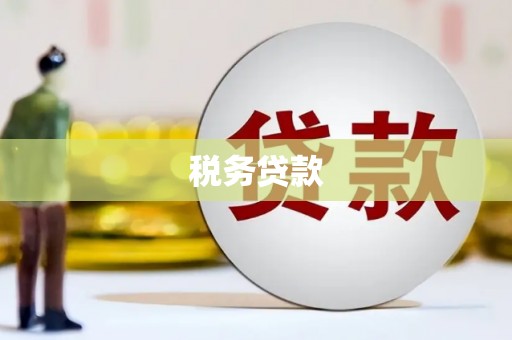 工业园区税务贷款