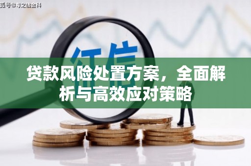 工业园区贷款风险处置方案，全面解析与高效应对策略