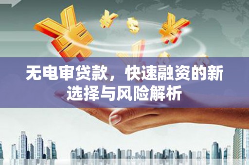 工业园区无电审贷款，快速融资的新选择与风险解析