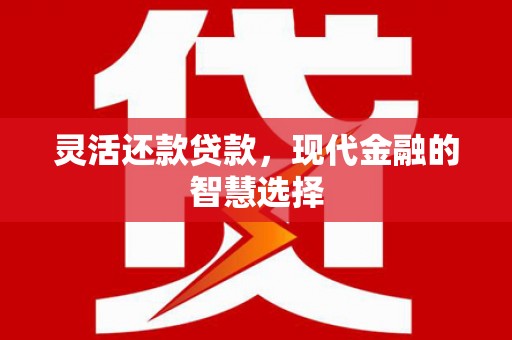 工业园区灵活还款贷款，现代金融的智慧选择