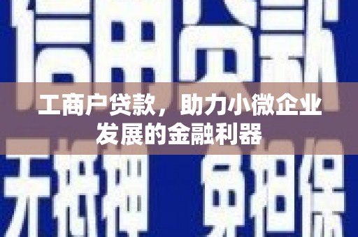 工业园区工商户贷款，助力小微企业发展的金融利器