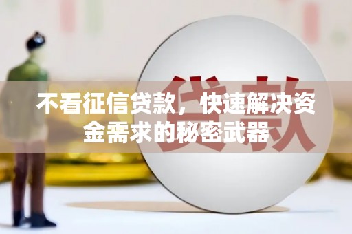 工业园区不看征信贷款，快速解决资金需求的秘密武器