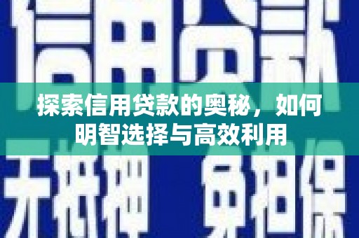 工业园区探索信用贷款的奥秘，如何明智选择与高效利用