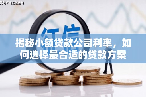 工业园区揭秘小额贷款公司利率，如何选择最合适的贷款方案