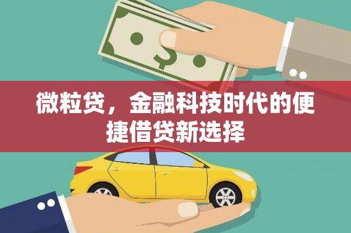 工业园区微粒贷，金融科技时代的便捷借贷新选择