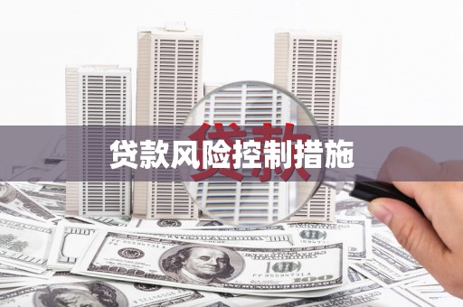 工业园区贷款风险控制措施